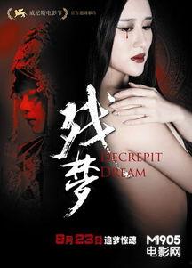 残梦 在线观看,穿越时空的奇幻之旅