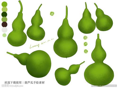 吃葫芦瓜视频素材下载免费,免费下载视频，解锁家常烹饪秘诀